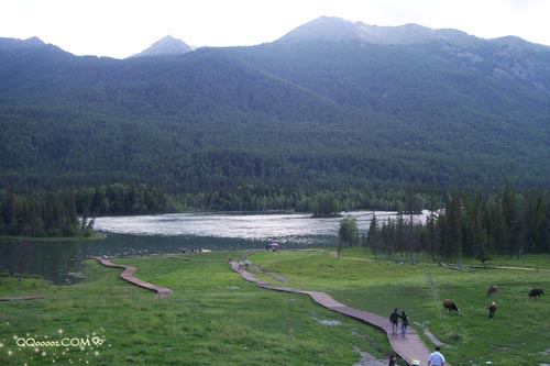 卡纳斯的草原，美的空间照片