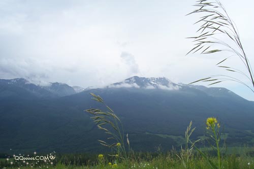 美的空间网照片