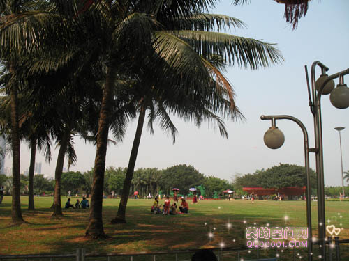 海南美丽的公园