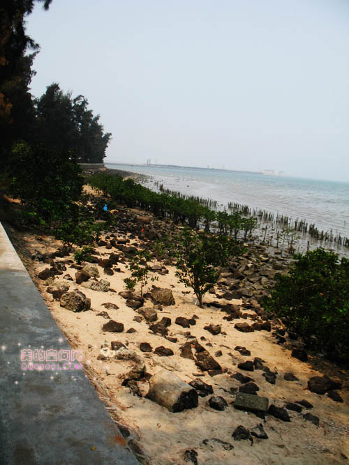 海南海边沙滩的石头