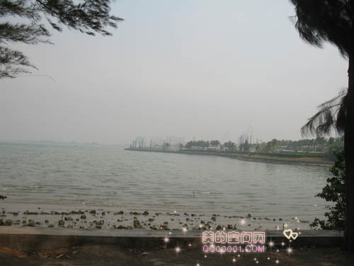 海口公园海边