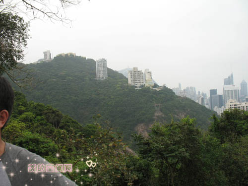 香港富豪居住地