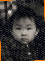 可爱QQ网SEO席明霞图片